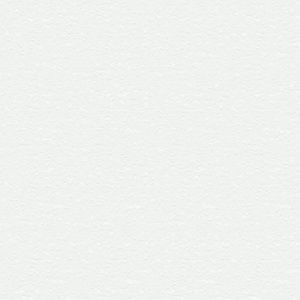 Meet your Posher, Jesus